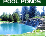 Pool Ponds